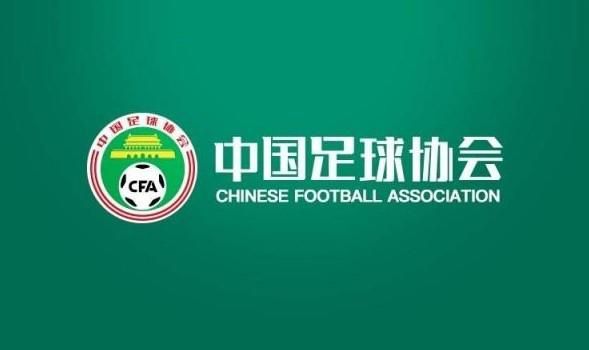 成人淫片免费视频95视频