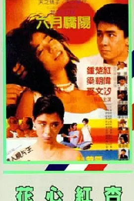 国产成人视屏