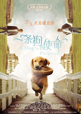 性中国freexxxmovies