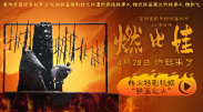 黄a毛片