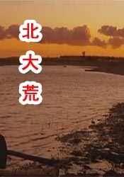 美女靠逼视频