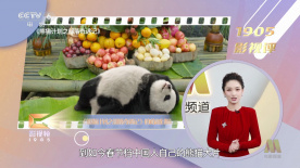 夜色香蕉